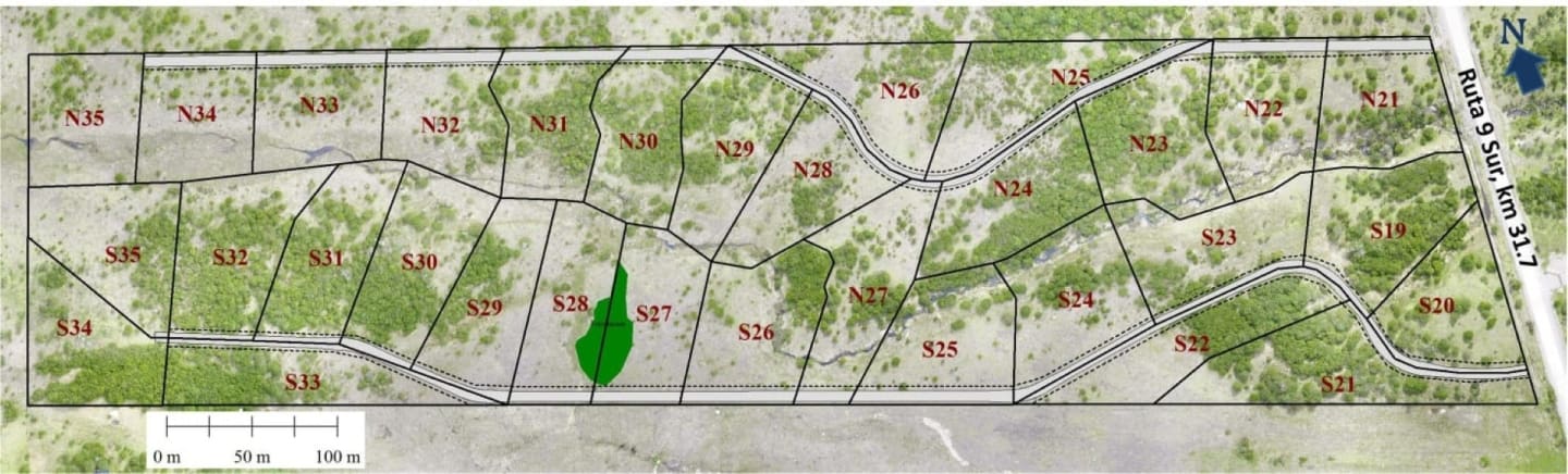 Plano de Subdivision (Large)